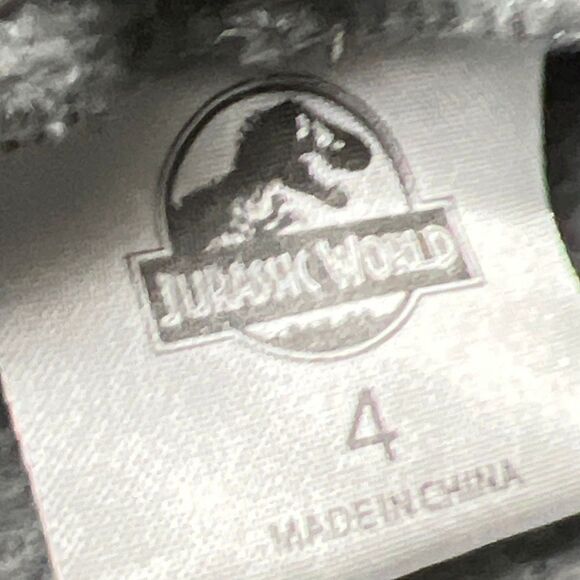 Boys Universal Studios Jurassic World Hoodie Size 4 - Picture 3 of 5